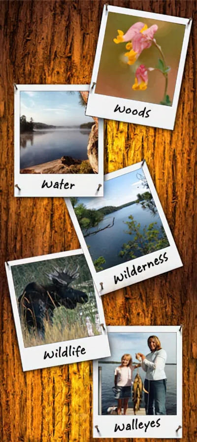 Woods, water, wilderness, wildlife, and walleyes Woods, water, wilderness, wildlife, and walleyes