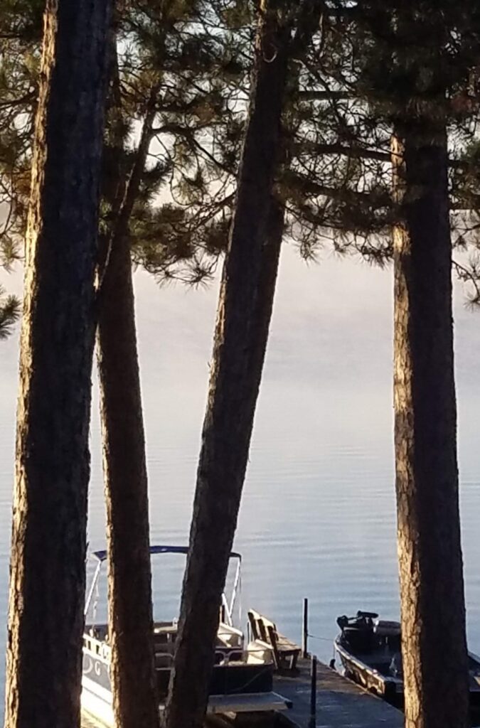 PIC 1 Woods, water, wilderness, wildlife, and walleyes